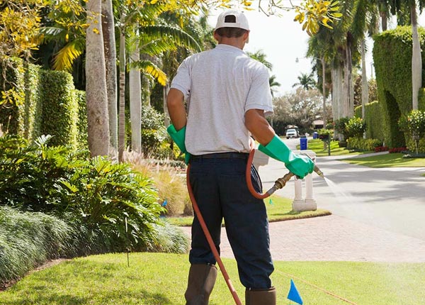 About Laughlin Afb TX Pest Control